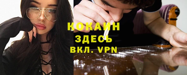 спайс Алексин