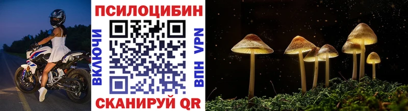 купить  цена  это официальный сайт  Галлюциногенные грибы MAGIC MUSHROOMS  Томск 