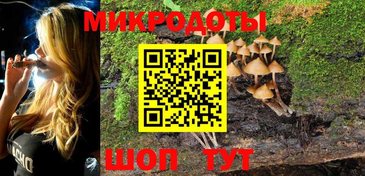 Псилоцибиновые грибы Psilocybe  Вход с VPN  Томск 