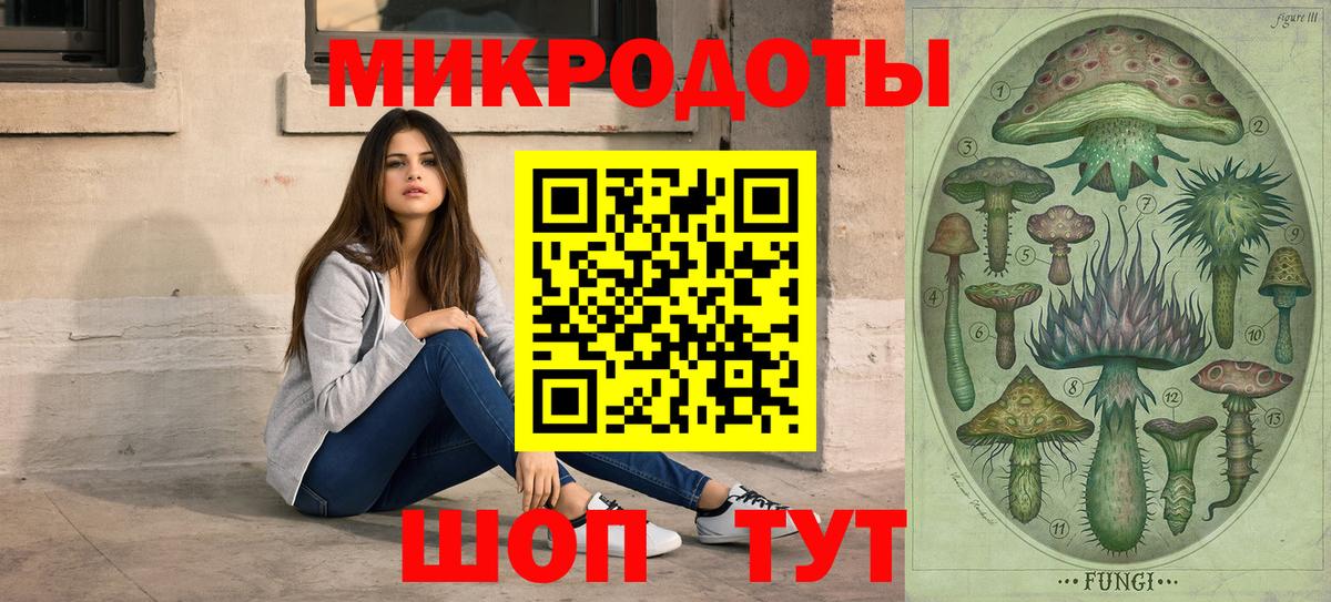 Галлюциногенные грибы Psilocybe Томск